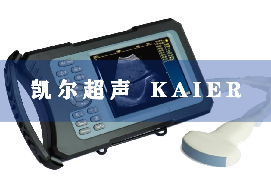 牛用B超機-牛B超給母牛做b超多久可以檢查出來懷