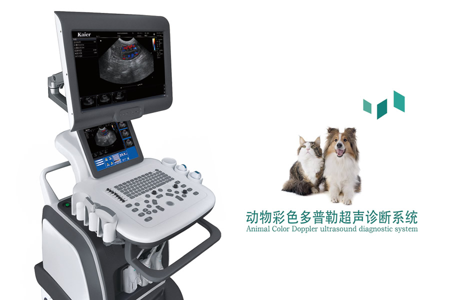 教您怎樣使用獸用B超機(jī)？