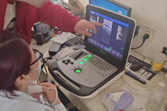 【四維彩超機】四維彩超檢查與唐篩檢查