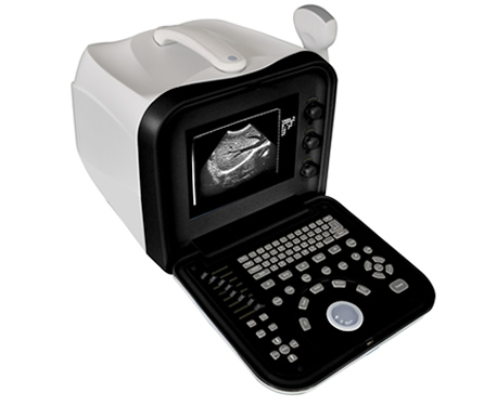 便攜式全數(shù)字B超